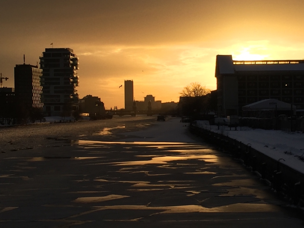 Spreeidylle auf der Fahrt zur dpa